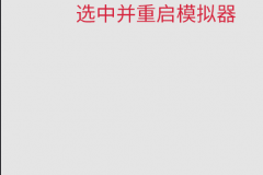 sollyu (2)