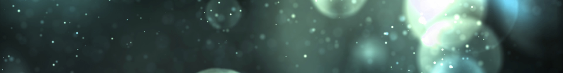 标签： WordPress